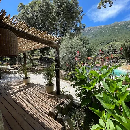 Villa Bergerie Shelby - La Pause Chisa